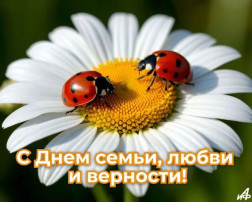 День семьи, любви и верности День семьи, любви и верности.